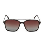 Tommy Hilfiger Brown Polarized Sunglasses