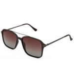 Tommy Hilfiger Brown Polarized Sunglasses
