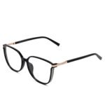 Vegas black eyeglasses with gold metal temples