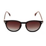Brown gradient polarized sunglasses SmartOptics